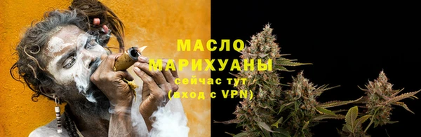 шишки Михайловск