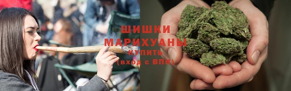 спиды Михайлов
