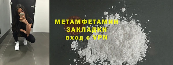 шишки Михайловск
