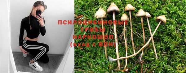 круглые Михайловка