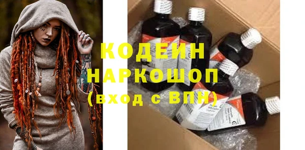 шишки Михайловск
