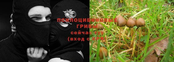 круглые Михайловка