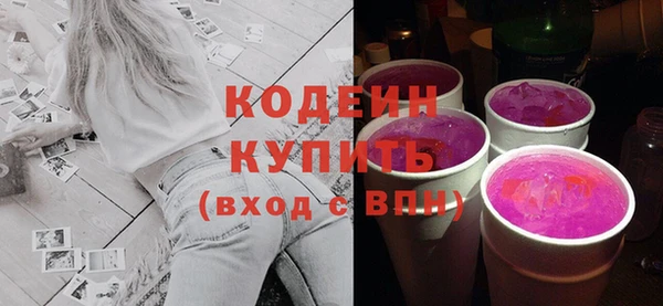 шишки Михайловск